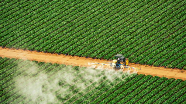 Professional Pest Control in Mifflinburg, PA
